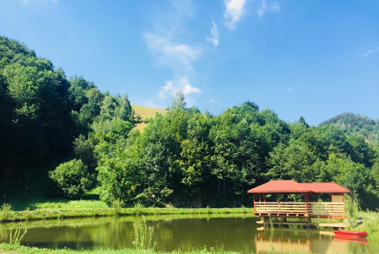 Vila Roca Hotel And Spa Valea Draganului Exterior photo
